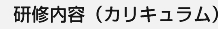 研修内容（カリキュラム）