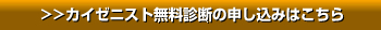 >>カイゼニスト無料診断の申し込みはこちら